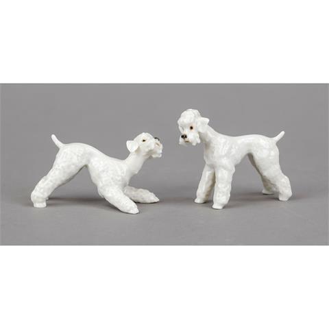 Two poodles, Hutschenreuther, S
